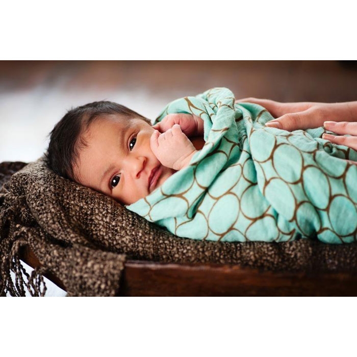 Пеленка детская тонкая SwaddleDesigns Маркизет SC w/Mocha Mod