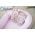 Гнездышко-кокон для новорожденных Babynest Provence