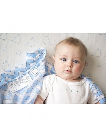 Набор пеленок SwaddleDesigns Swaddle Duo BL Big Chickies