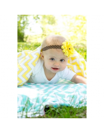 Набор пеленок SwaddleDesigns Swaddle Duo Yellow Chevrons