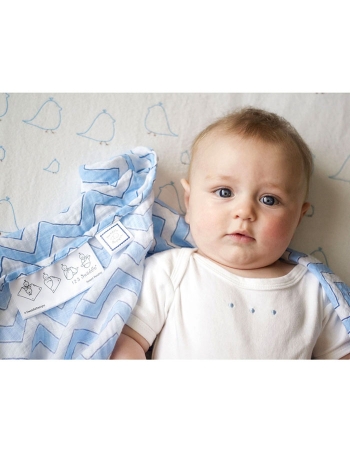 Набор пеленок SwaddleDesigns Swaddle Duo BL Chickies/Chevron