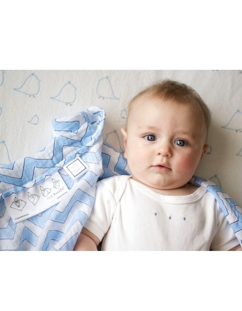 Набор пеленок SwaddleDesigns Swaddle Duo Blue Classic Chevron