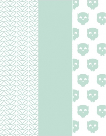 Муслиновые пеленки для новорожденных большие Jollein, Owl mint